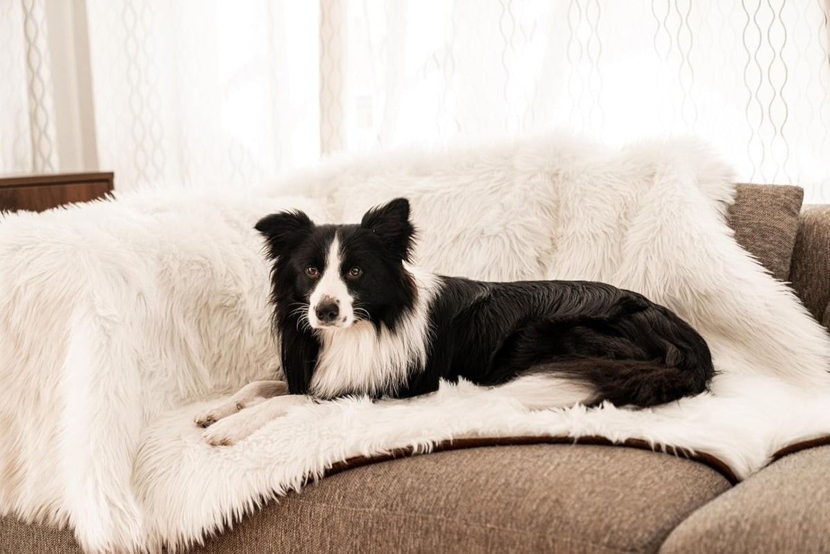PupProtector Waterproof Throw Blanket for Dogs and Cats, Pet Blanket Cover for Couches, Sofas