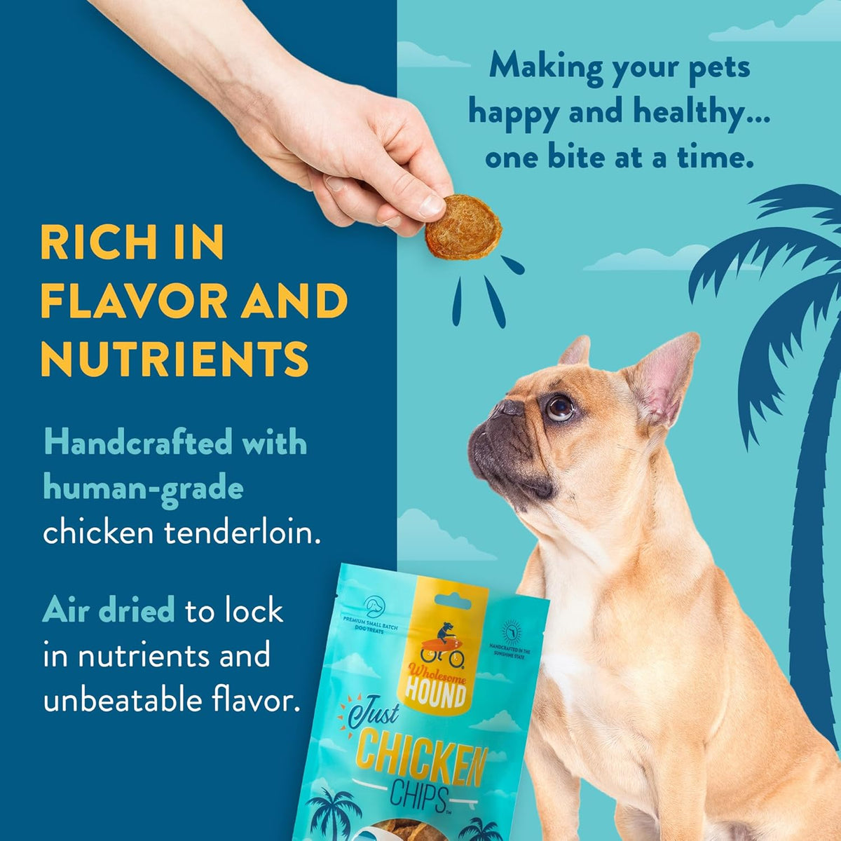 Chicken Chips – Single Ingredient Dog Treats, All Natural & Healthy Training Snacks for Small