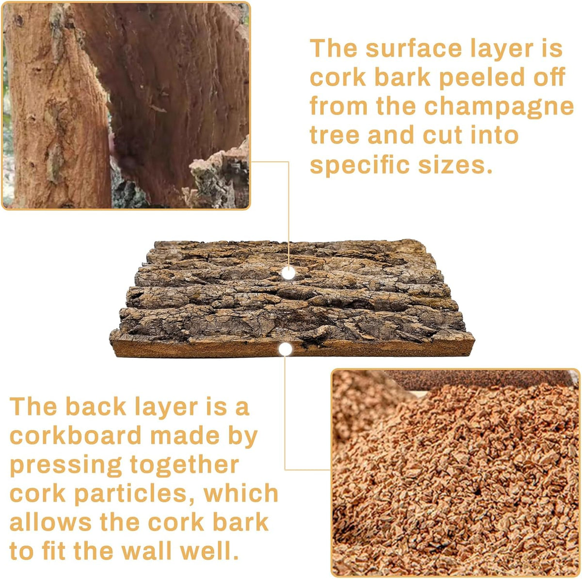 Tfwadmx Terrarium Cork Bark Background, 11.8"x15.75" Thickened Reptile Tank Tree Backdrop Wall