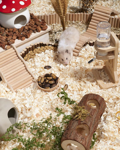Niteangel Small Animal Snack & Treats - Small Critter Natural Treat for Dwarf Syrian Hamsters
