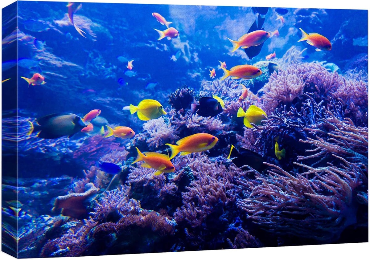 wall26 Canvas Print Wall Art Purple Blue Vibrant Anemone Coral Reef Fish Nature Animals Photography