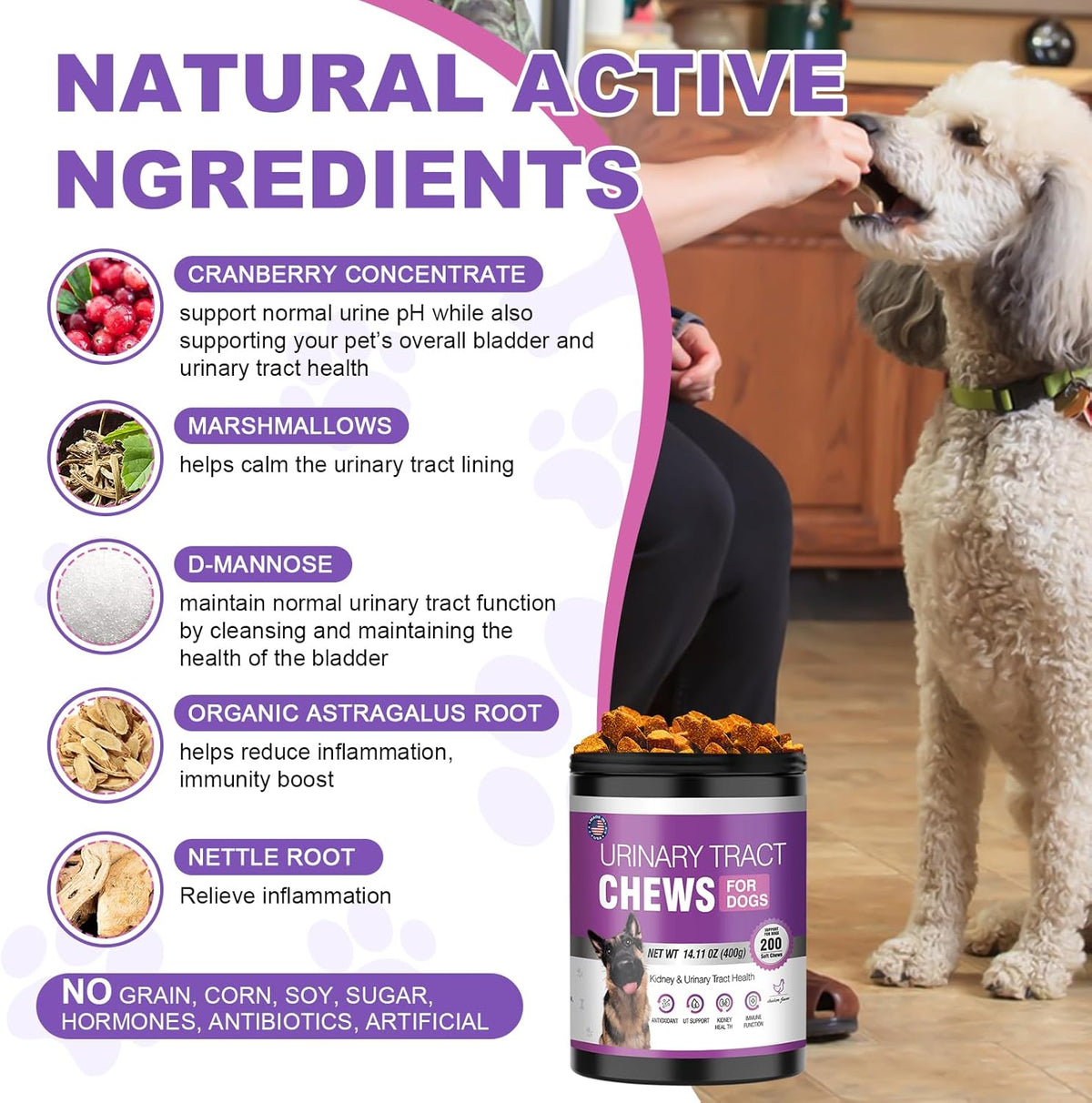 Dog UTI Treatment Cranberry Supplement for Dogs 200 Chews Urinary Tract Medicine Bladder Control