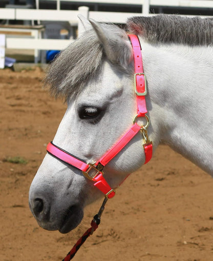 T TEKE Adjustable Horse Halters by Heavy Duty Soft Nylon, Padded with Anti-rubbing Waffle Neoprene