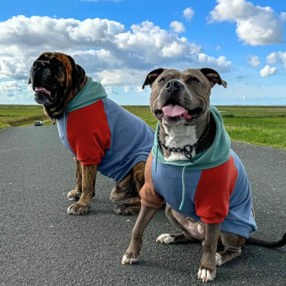 Spark Paws Dog Hoodie – Premium Dog Sweater for Small, Medium, and Large Dogs | Warm Outfits for