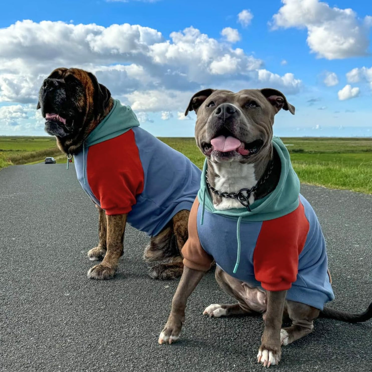 Spark Paws Dog Hoodie – Premium Dog Sweater for Small, Medium, and Large Dogs | Warm Outfits for