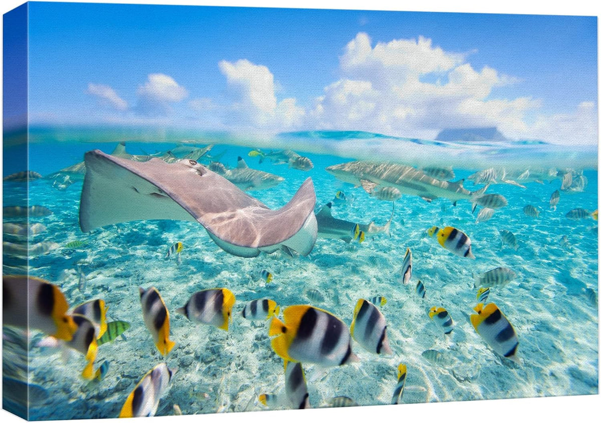 wall26 Canvas Print Wall Art Stingray & Striped Fish Under The Sea Nature Ocean Photography Realism