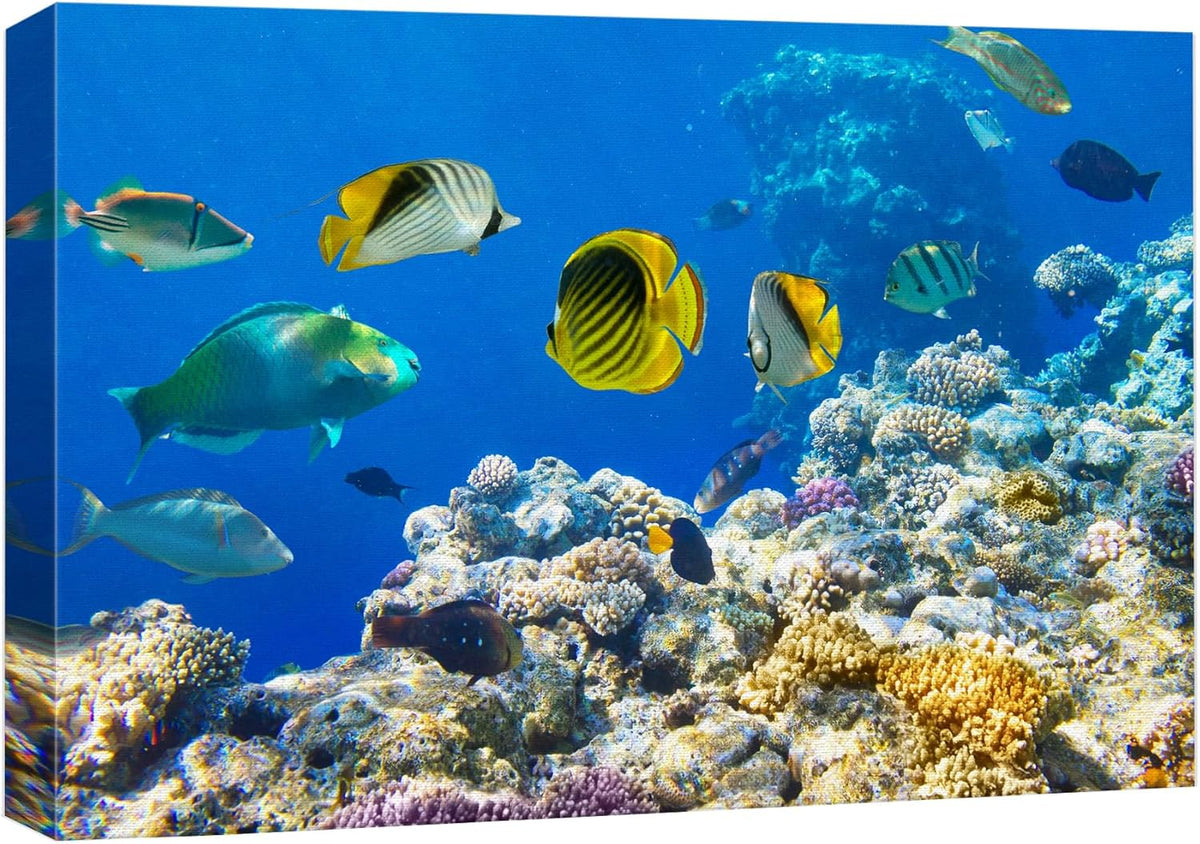 wall26 Canvas Print Wall Art Tropical Island Ocean Sea Fish Coral Reef Nature Animals Photography