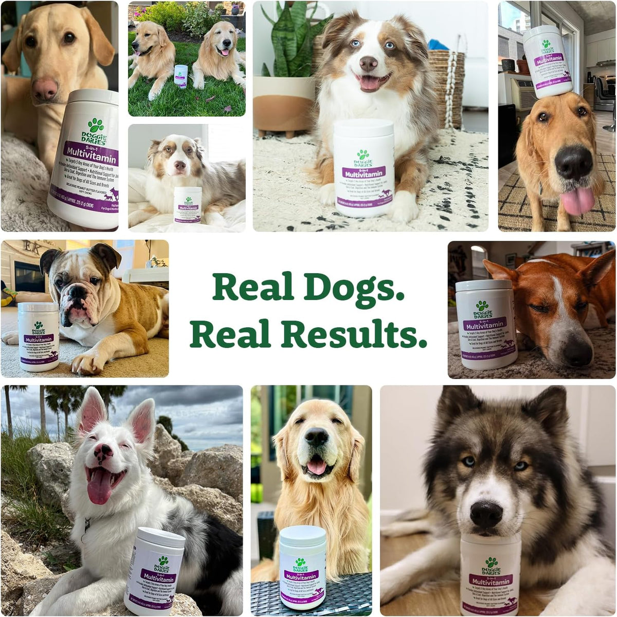 Doggie Dailies 5 in 1 Multivitamin for Dogs, Dog Multivitamin for Skin and Coat Health, Joint