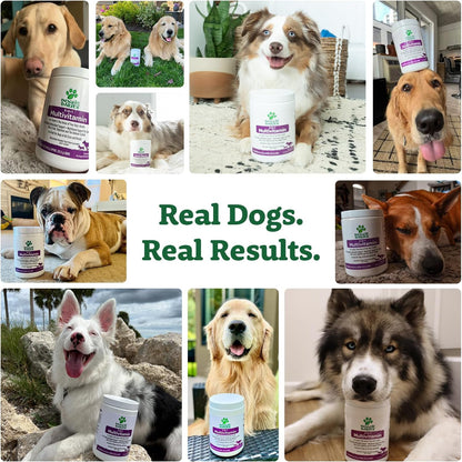 Doggie Dailies 5 in 1 Multivitamin for Dogs, Dog Multivitamin for Skin and Coat Health, Joint