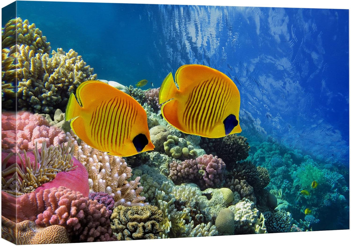 wall26 Canvas Print Wall Art Tropical Yellow Fish with Vibrant Coral Reef Nature Ocean Photography