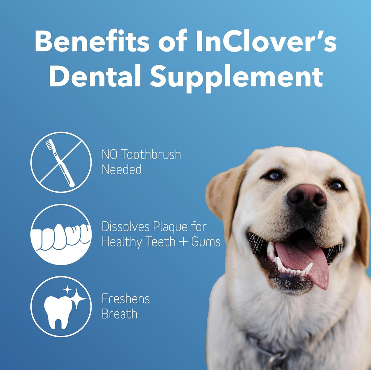 InClover Dog and Cat Dental Powder for Teeth Cleaning and Enamel and Gum Health, Natural Pet