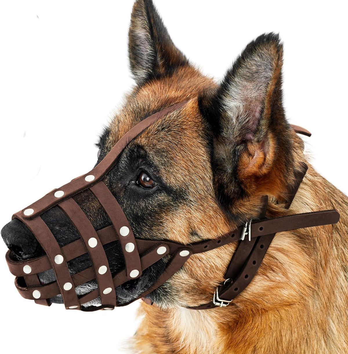 CollarDirect Dog Muzzle German Shepherd Dalmatian Doberman Setter Leather Basket Medium Large
