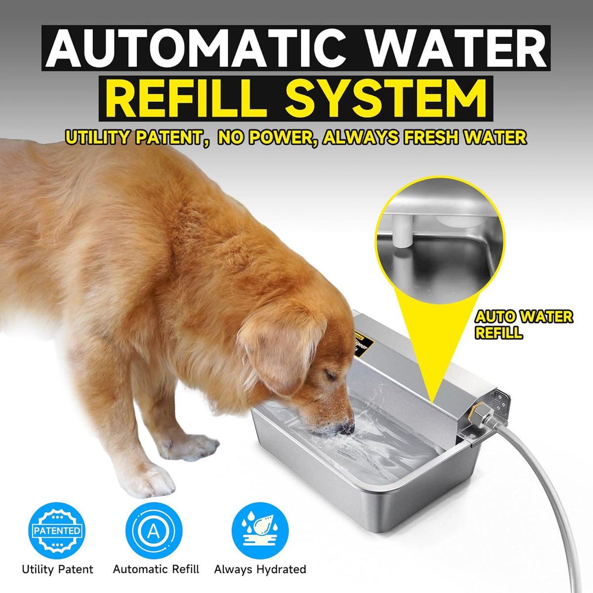 Automatic Dog Water Dispenser, 2 Gallons 304 Stainless Steel Large Dog Water Bowl Dispenser for
