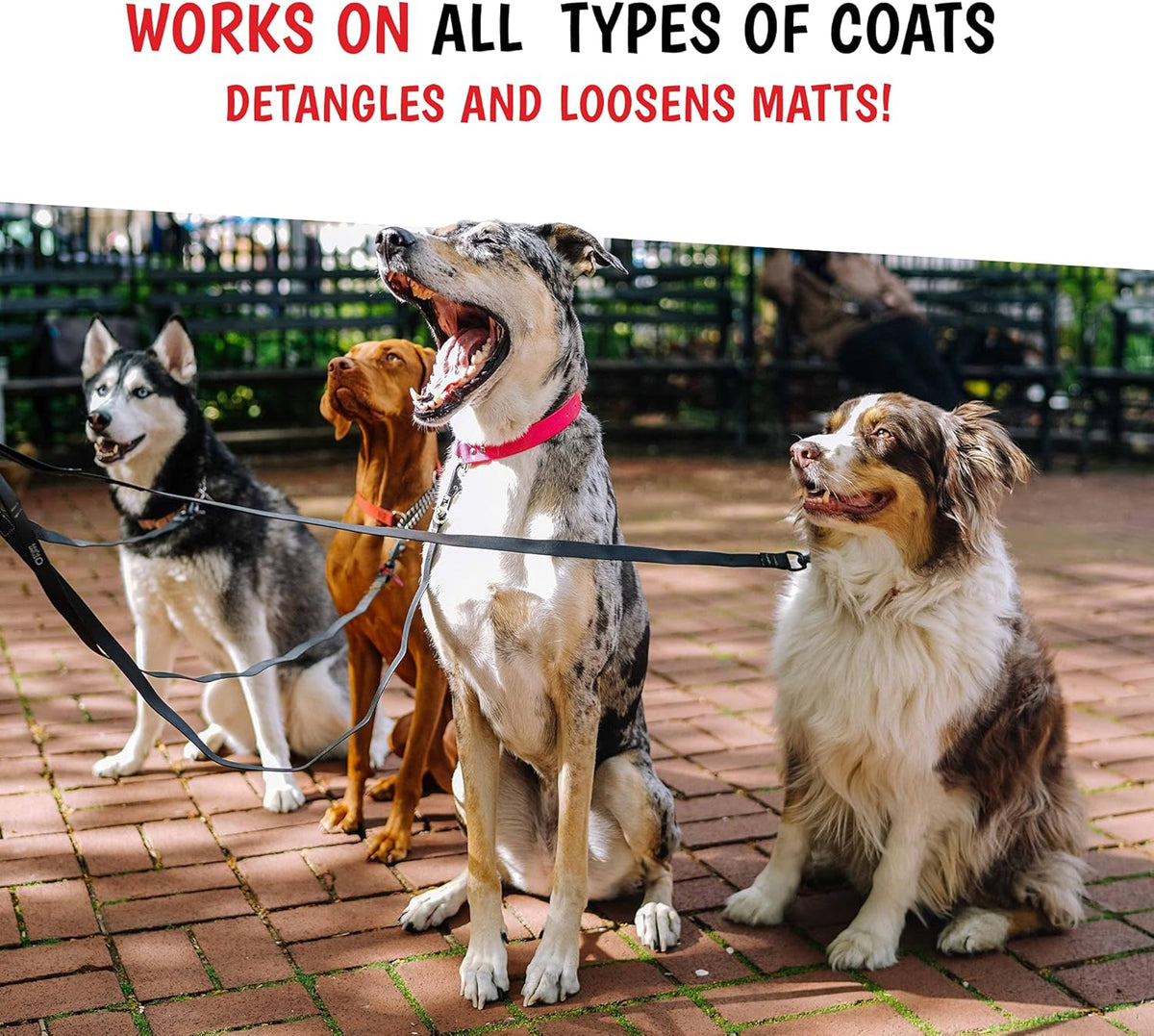 Warren London 10-in-1 Dog Spray & Rake Brush Combo | Detangles, Softens & Reduces Shedding | 16oz