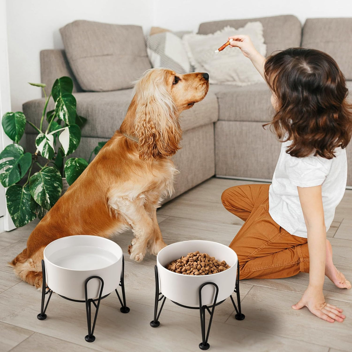Elevated Dog Bowls, Ceramic Raised Dog Bowl Set with Anti-Slip and Non-Tip Metal Stand, 2 Pack Pet