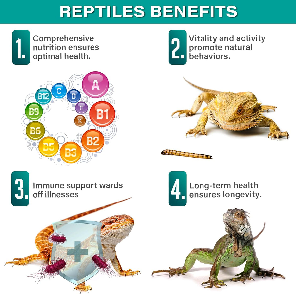 4oz Reptile Multi-Vitamin Supplement. Premium Ingredients, Rich with Organic Fruit, for Full Growth