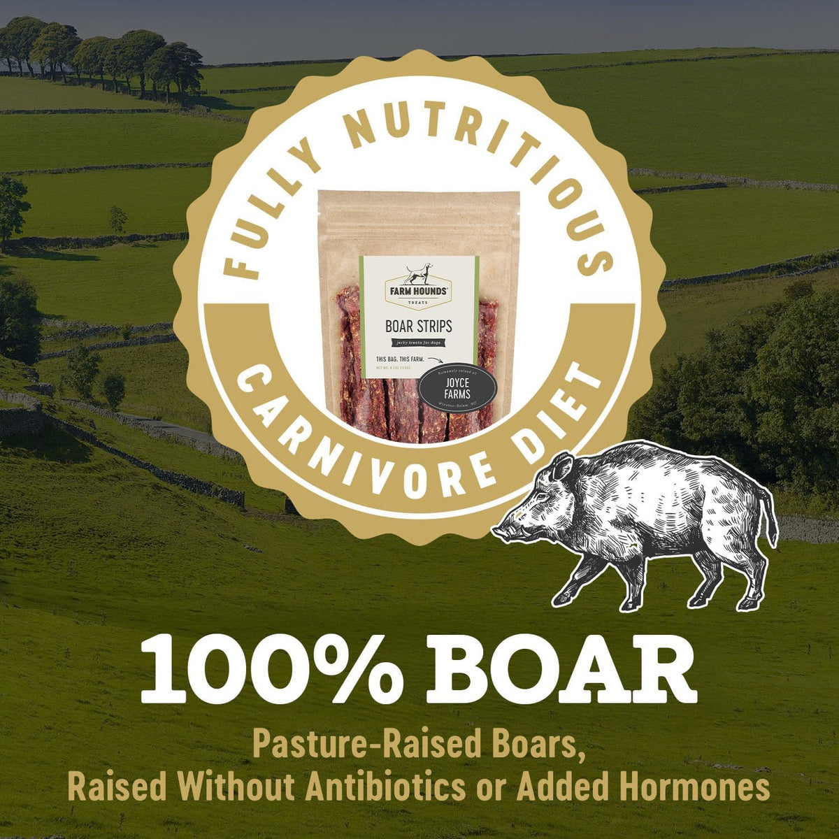 Farm Hounds - Boar Strips - Premium Natural Jerky for Dogs - from 100% Humanely Raised Boar