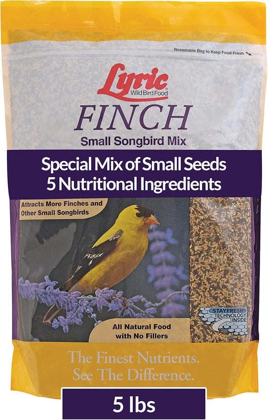 Lyric Finch - Small Songbird Wild Bird Seed - Attracts Goldfinches, House Finches, Purple Finches &
