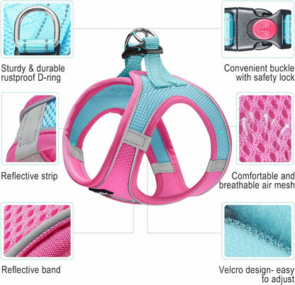 haapaw Dog Harness with Leash Set, No Pull Adjustable Reflective Step-in Puppy Harness with