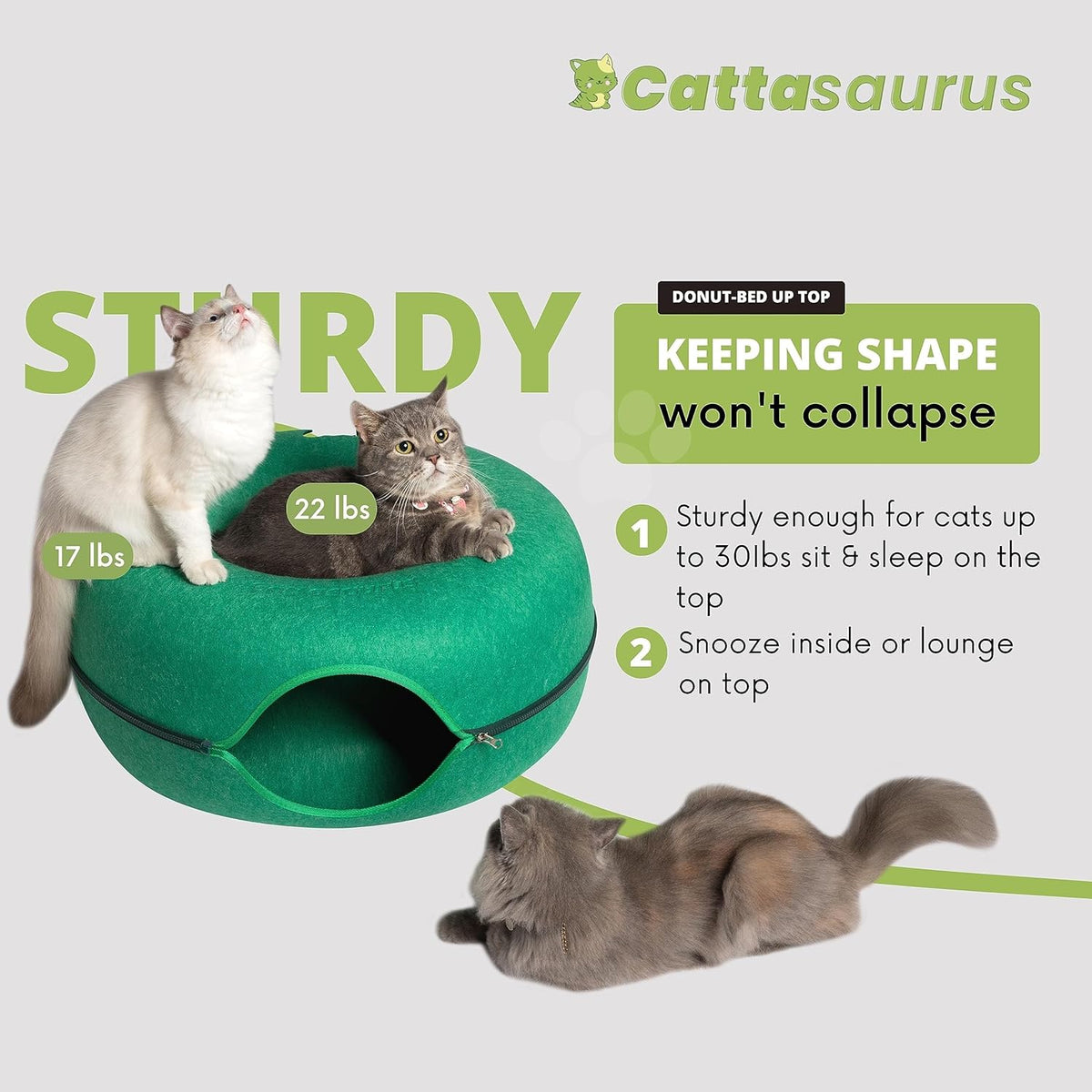 CATTASAURUS Peekaboo Cat Cave for Multiple & Large Cats Up to 30-45 Lbs, Scratch Detachable &