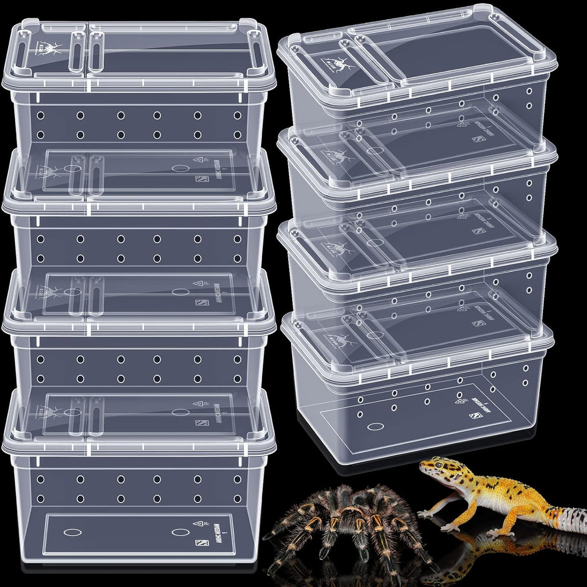 Irenare 8 Pcs Reptile Breeding Breeding Box Plastic Spider Terrarium Tarantula Feeding Box for