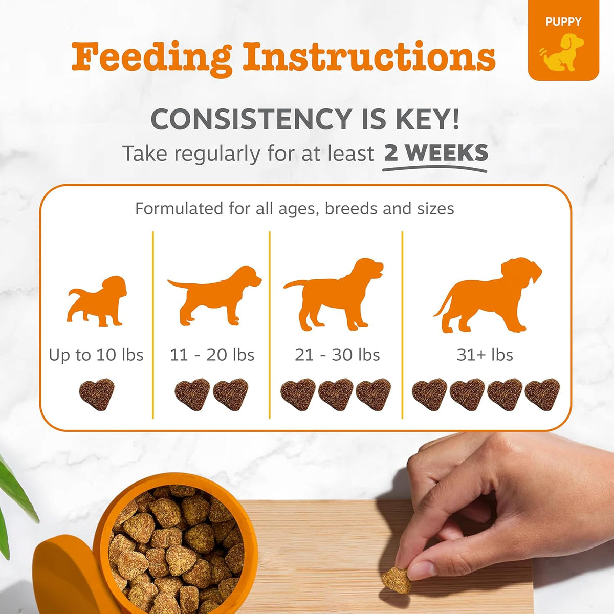 Zesty Paws Puppy Probiotics for Dogs - for Digestive Health, Gut Flora & Immune System Support