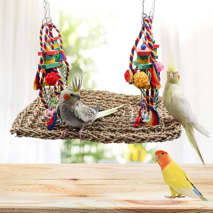 Large Bird Swing Toys, Colorful Parrot Seagrass Mat Hammock with Blocks, Bird Foraging Toy, Bird