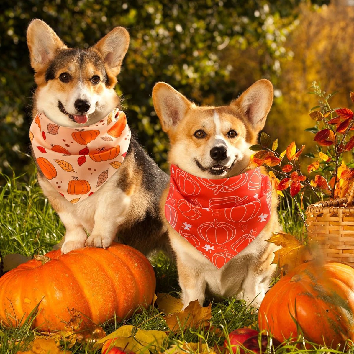 Abbylike 50 Pcs Fall Thanksgiving Dog Bandana Bulk Pumpkin Bandana for Dogs Triangle Kerchief Bib