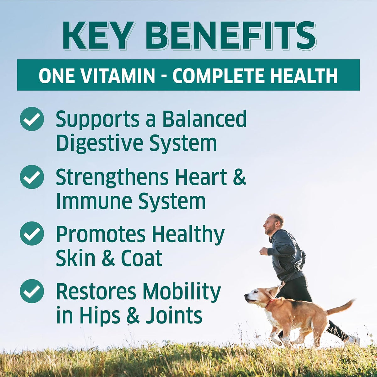 Dog Multivitamin - Dog Vitamins and Supplements - Digestive Enzymes & Probiotics - Probiotics for