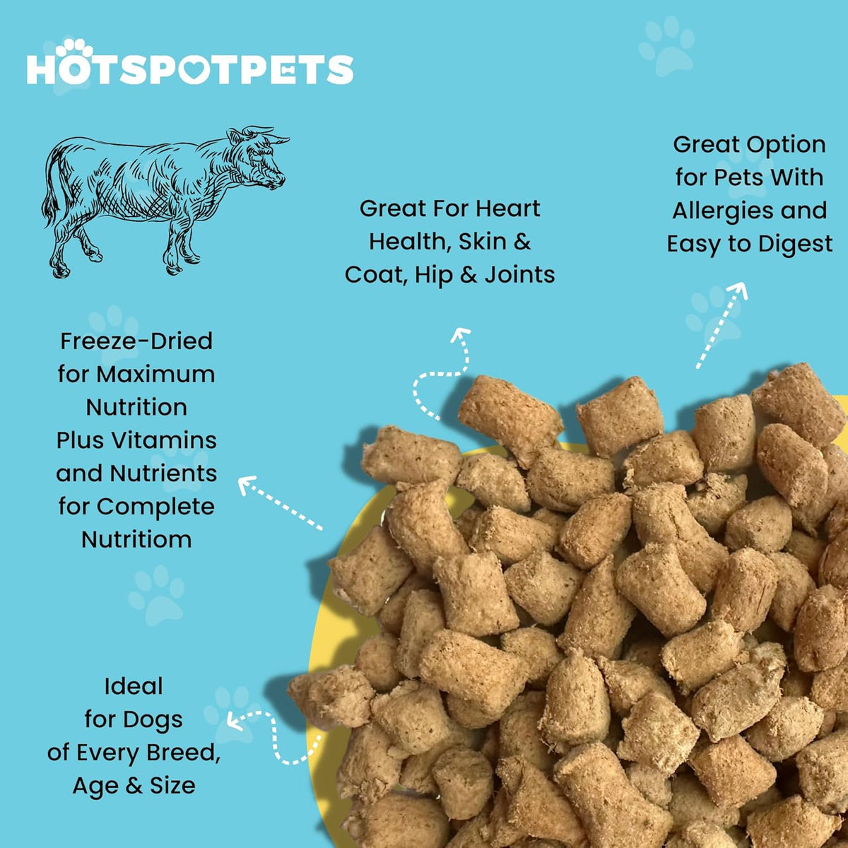 hotspot pets Freeze Dried Raw Beef Meal Toppers for Dogs 1LB Bag (500+pcs) Made in USA - Single