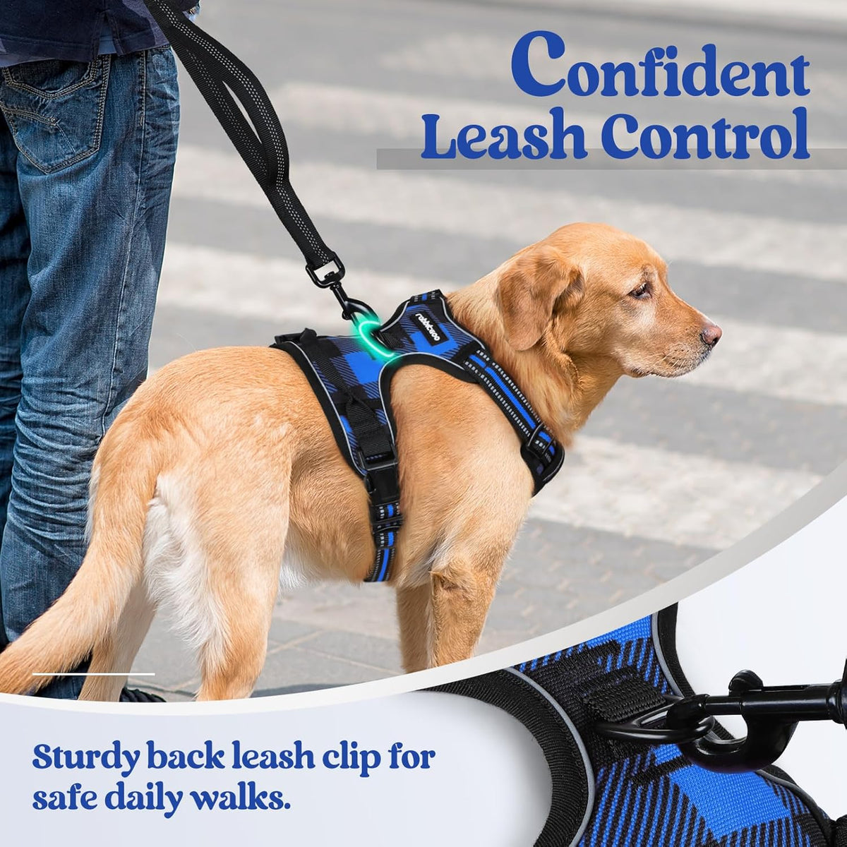 rabbitgoo Dog Harness No Pull with 2 Leash Clips, Adjustable Soft Padded, Reflective Oxford No