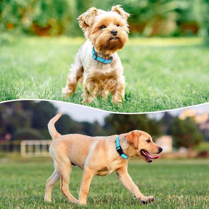 Reflective Dog Collar Padded with Soft Neoprene Breathable Quick Release Basic Dog Collars for