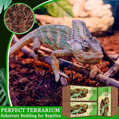 Riare 6 Pack Natural Coconut Fiber Substrate for Reptile- Premium Compressed Coconut Husk Terrarium