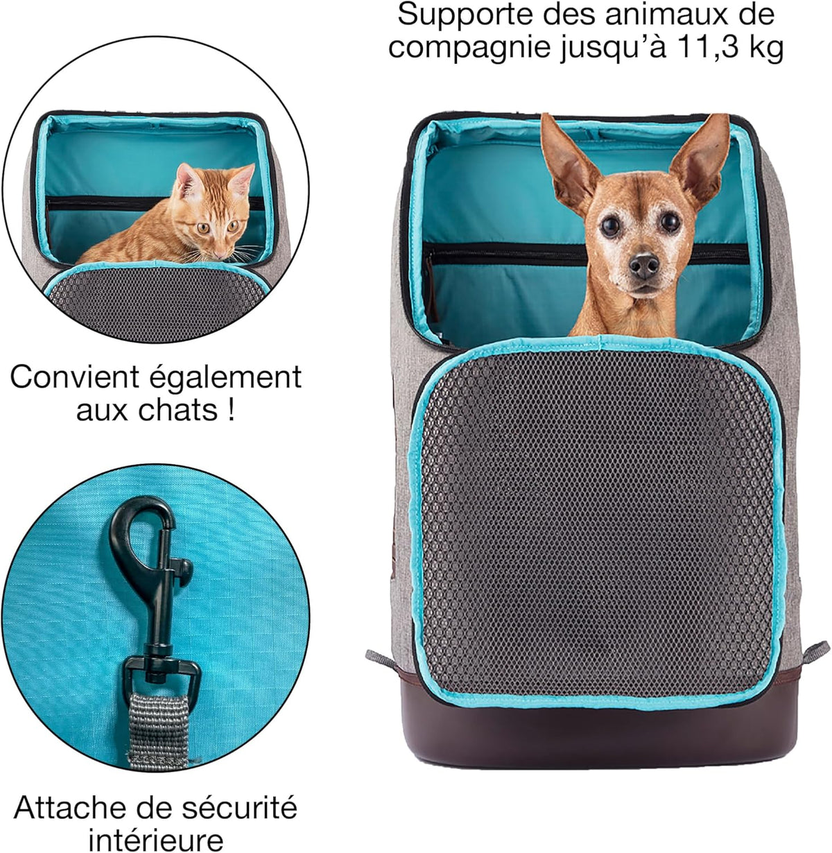 Kurgo Dog Carrier Backpack for Small Pets - Dogs & Cats | TSA Airline Approved | Cat | Hiking or
