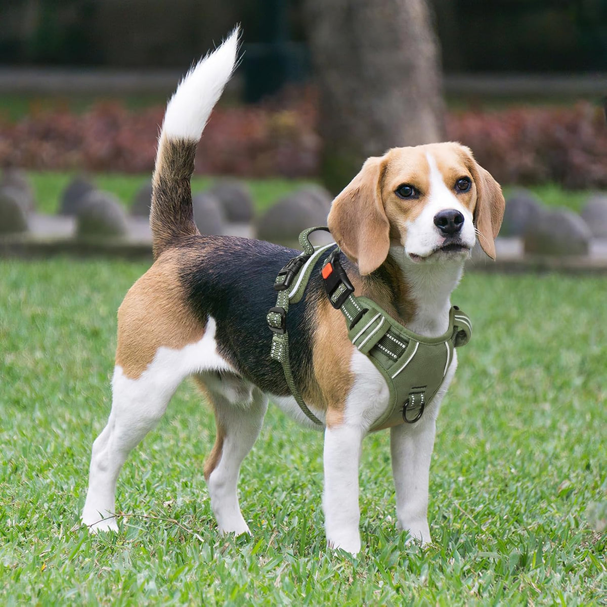 Timos Dog Harness Large Sized, No Pull Pet Harness with Neck Lockable Snap,No Choke Front Clip Dog