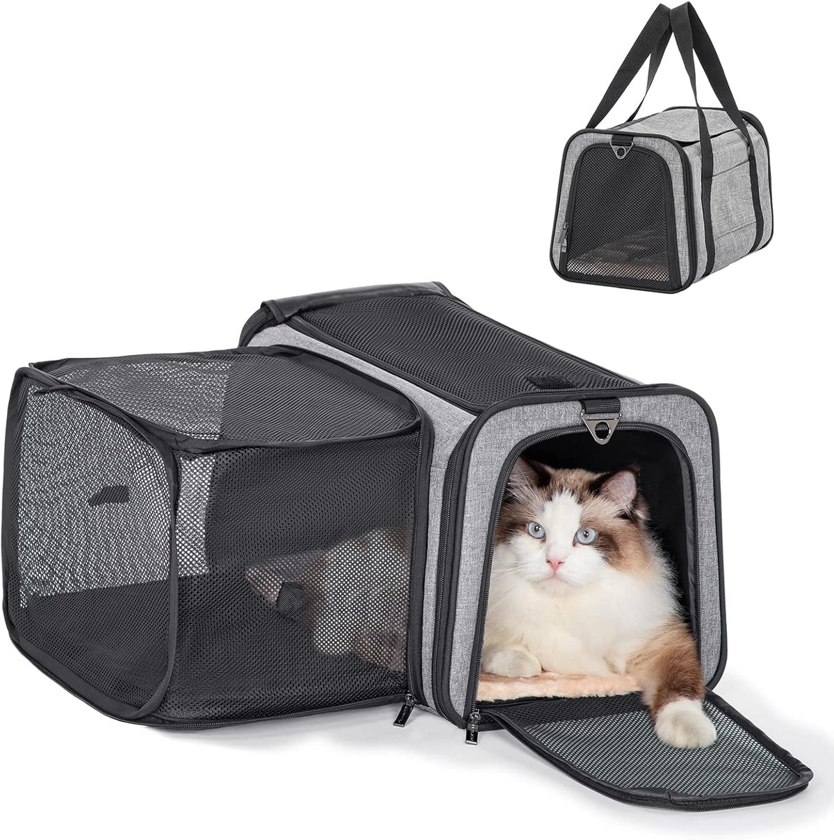 Petsfit Cat Carrier Airline Approved, 17 X11 X11 Soft-Sided Pet Carrier for Medium Cat/Small Dog