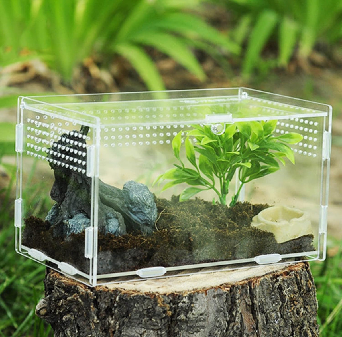 Magnetic Acrylic Case, micro habitat small Tarantula Enclosure enclosure for arboreal Tarantula