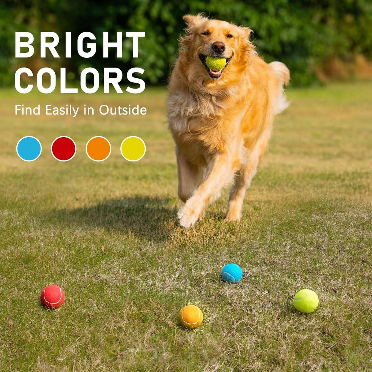 PrimePets Tennis Balls for Dogs, 2.5 Inch Thick Bouncy Ball for Dogs, Interactive Fetch Dog Toy