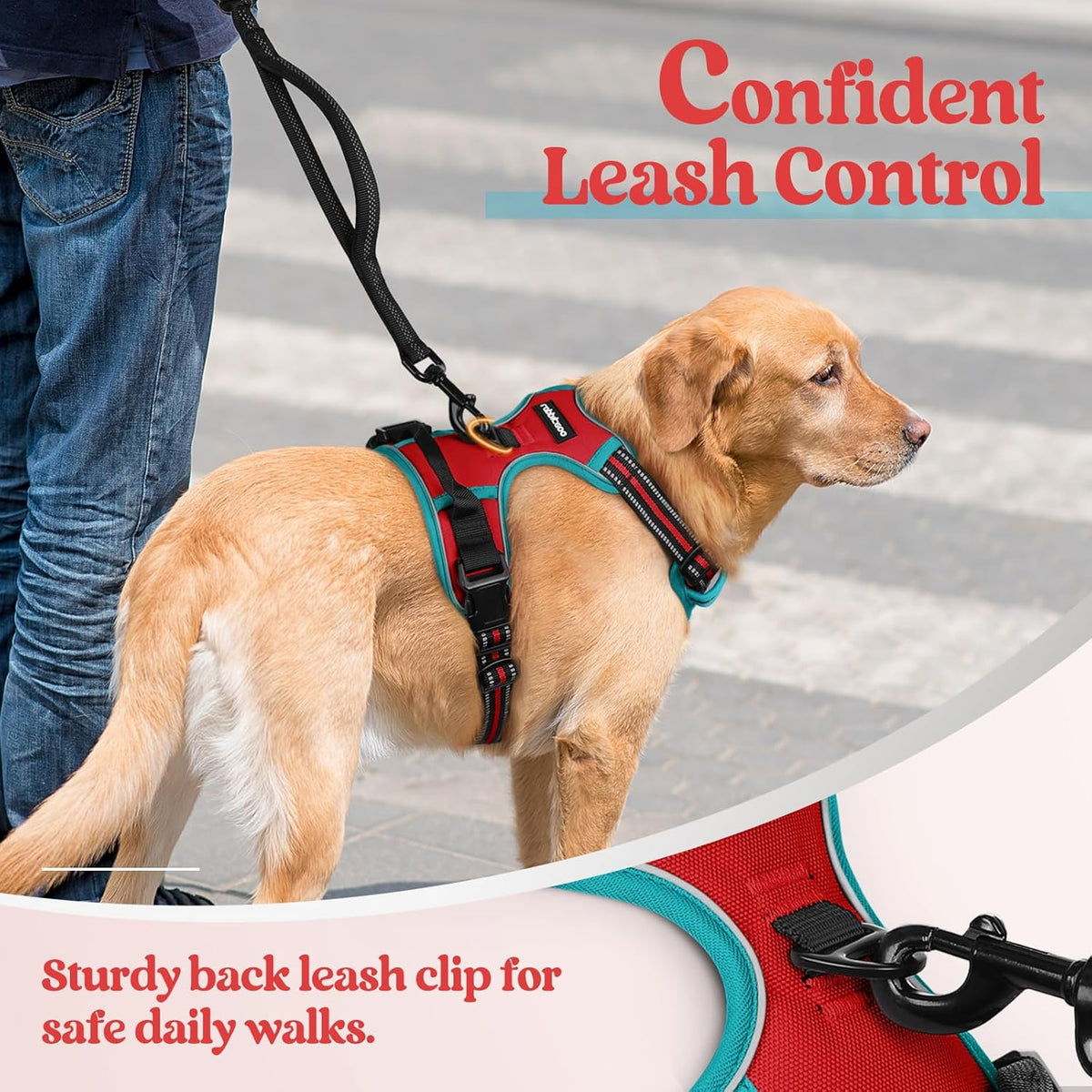 rabbitgoo Dog Harness No Pull with 2 Leash Clips, Adjustable Soft Padded, Reflective Oxford No