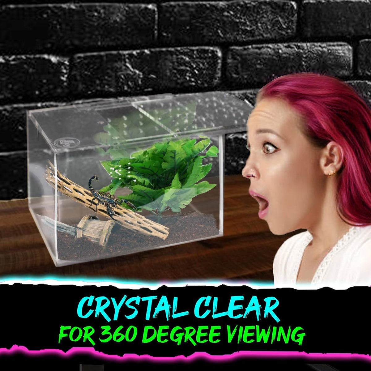 Jumping Spider Enclosure 5"x5"x7" or Tarantula Enclosure - Reptile Terrarium w/Sliding Magnetic