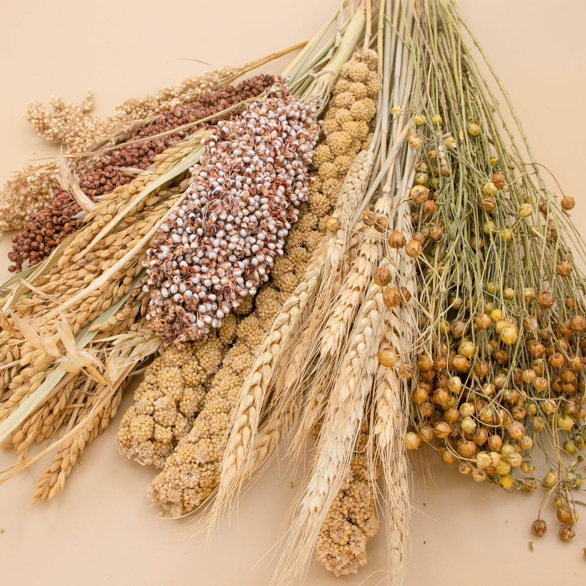 Natural Ear of Grain Flower&Herb Bedding Mate Habitat Decor, Adding Fun Hamster Accessories for