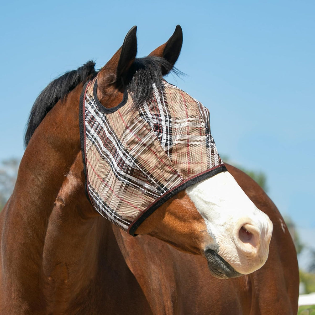 Kensington UV Horse Fly Mask with Web Trim - Protective Mask with Dual Ear Opening & Forelock