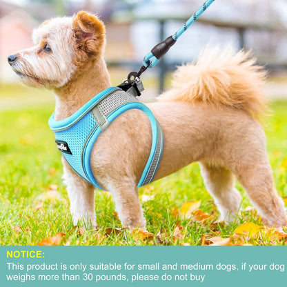 haapaw Dog Harness with Leash Set, No Pull Adjustable Reflective Step-in Puppy Harness with