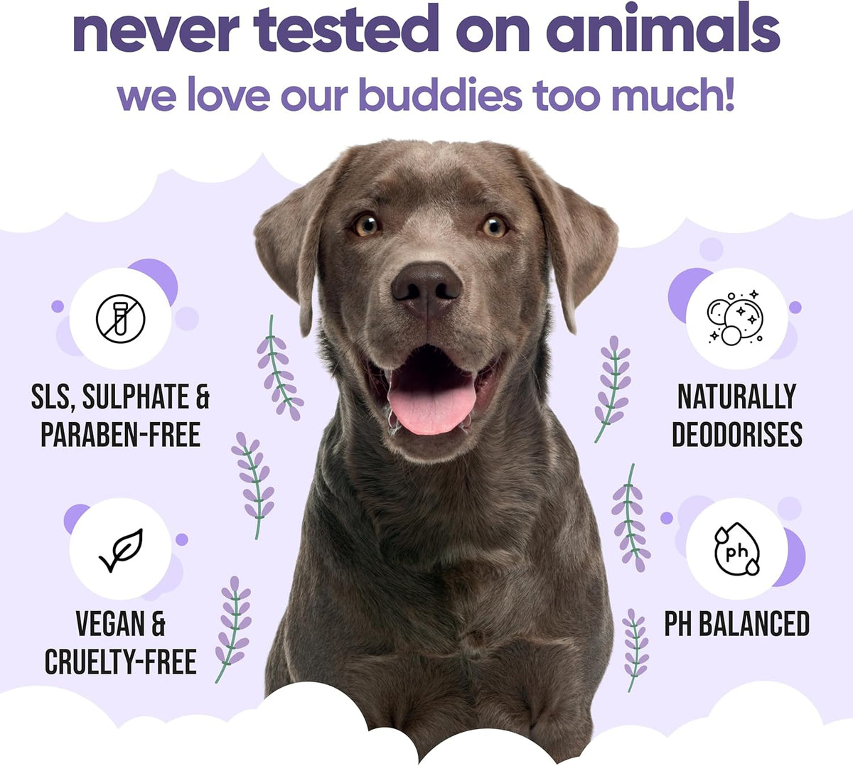 Calming & Deodorising Dog Shampoo by Buddycare | Lavender Scented | with Aloe Vera and Pro Vitamin