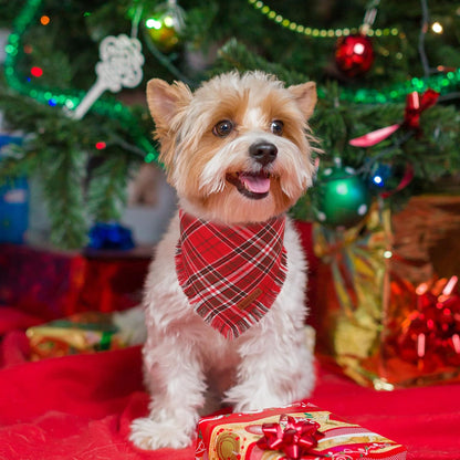 ADOGGYGO Christmas Dog Bandanas with Tassels Edges, Stylish Red Plaid Xmas Scarf, Multiple Sizes