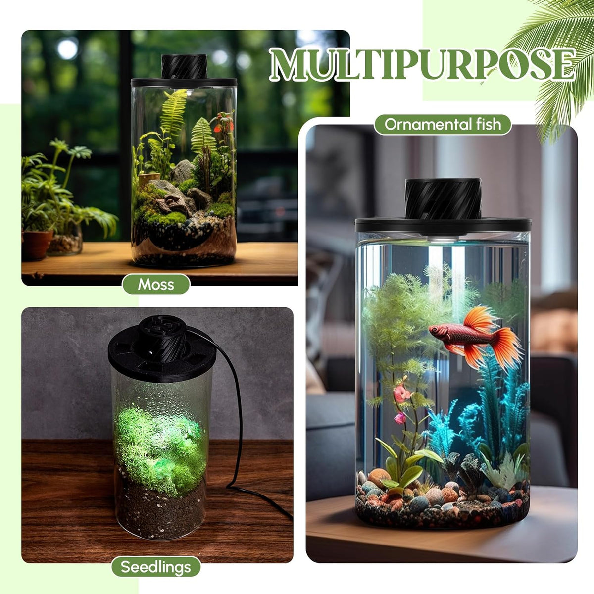 Maxdot Glass Plant Terrarium Kit with Light for Succulent, Moss, Miniature Gardening Landscape