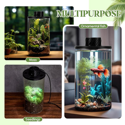 Maxdot Glass Plant Terrarium Kit with Light for Succulent, Moss, Miniature Gardening Landscape