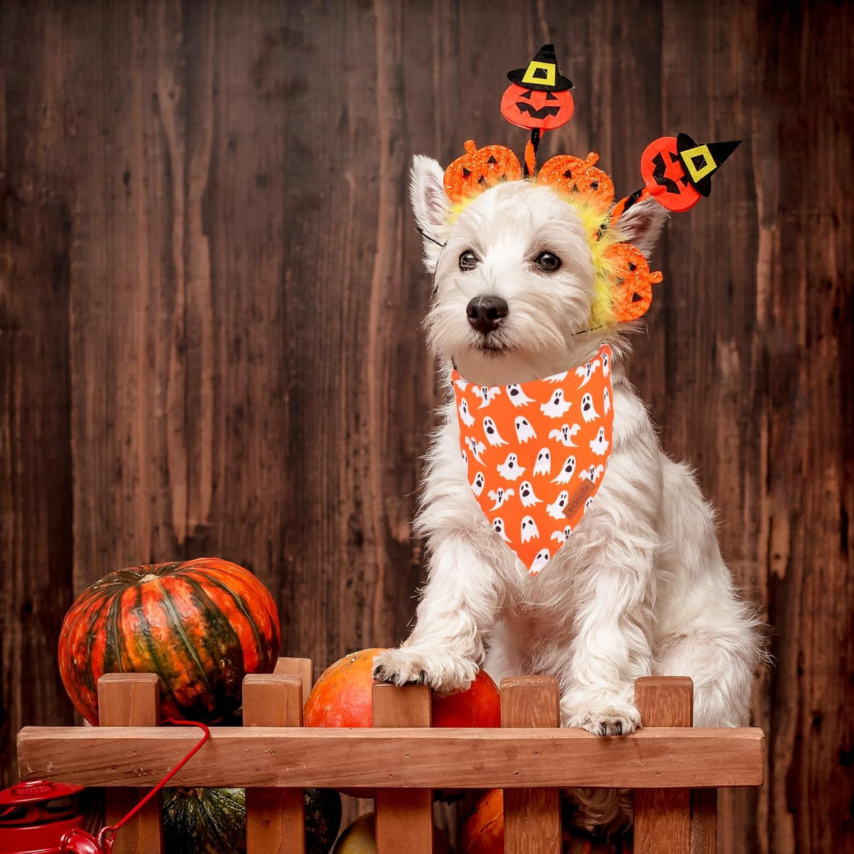 PTDECOR Halloween Dog Bandana, Reversible Holiday Pet Puppy Scarf, Multi Size, Triangle Halloween