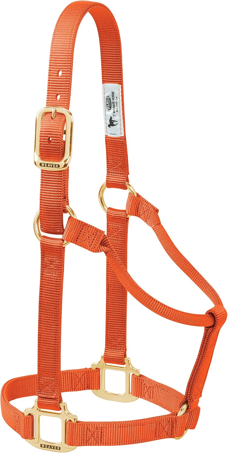 Weaver Equine Nylon Horse Halter, Triple-Ply Cheek Design, Original Non Adjustable Halters for