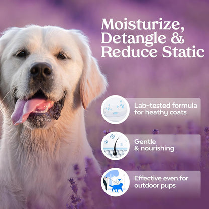 PAWFUME Dog Detangler Grooming Spray, Royal Lavender, 1-Pack – Keeps Pups Fresh All Day